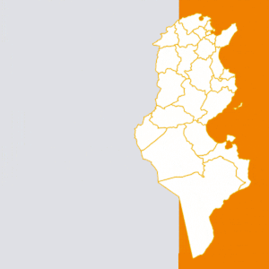 معطيات إحصائية ديناميكية