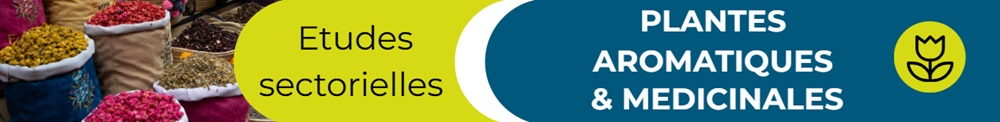 Image interactive